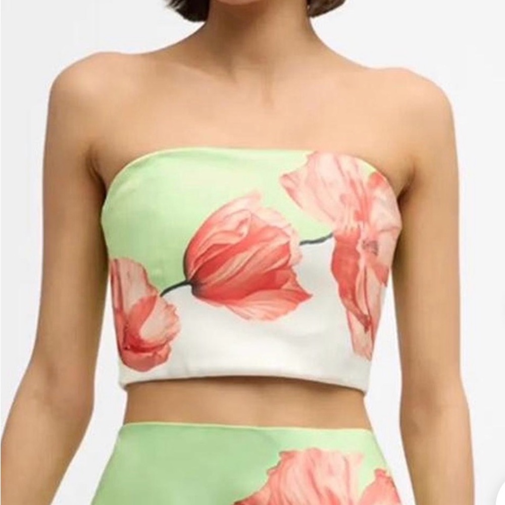 Alice + Olivia Multi bustier cropped top